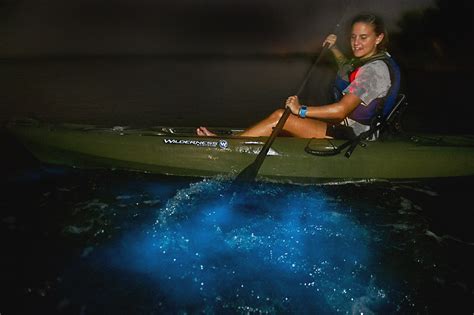 bioluminescence kayaking florida BK Adventure - Florida's #1 Bioluminescence Tours